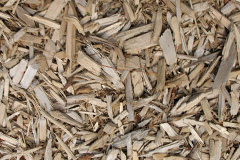 biomass boilers Tunga